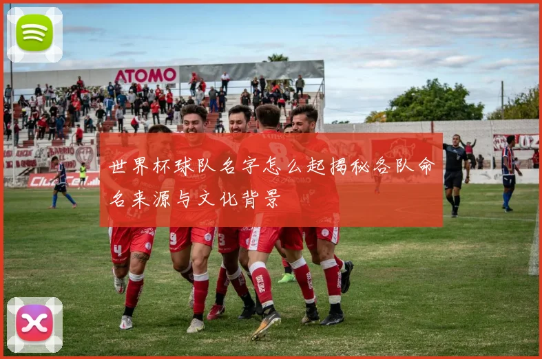 世界杯球队名字怎么起揭秘各队命名来源与文化背景
