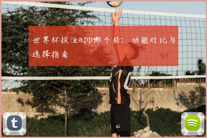 世界杯投注app哪个好:功能对比与选择指南