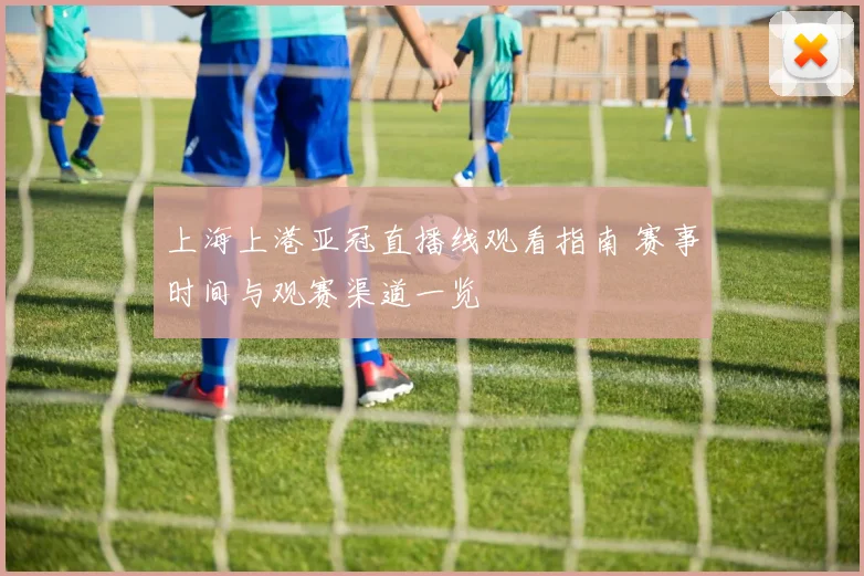 上海上港亚冠直播线观看指南 赛事时间与观赛渠道一览